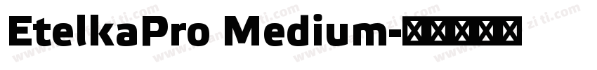 EtelkaPro Medium字体转换